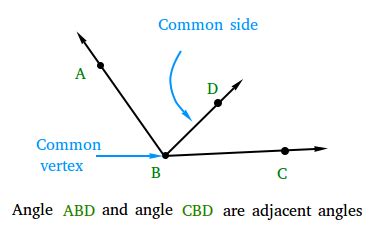 Adjacent Angles - Definition and Examples