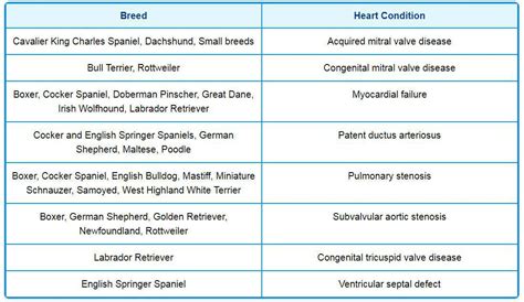 Help for Dogs with a Heart Murmur - Fidose of Reality