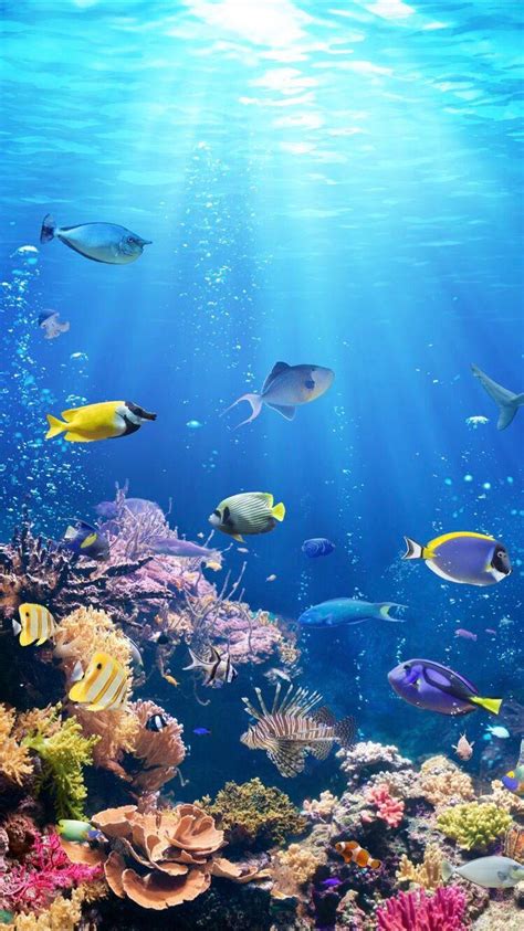 Underwater Mobile Wallpapers - Top Free Underwater Mobile Backgrounds - WallpaperAccess