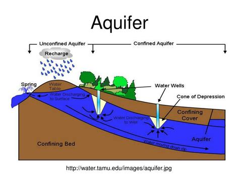 Water Table Aquifer Diagram