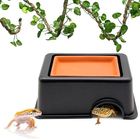 12 Best Leopard Gecko Hides to Purchase! (An Expert's Guide)