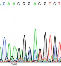 How to properly analyze and troubleshoot DNA sequencing results