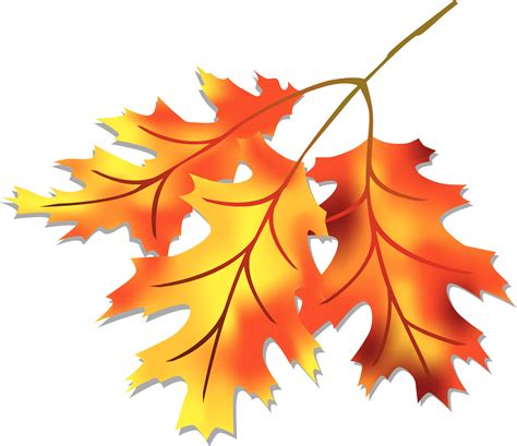 Free Fall Leaves Clip Art, Download Free Fall Leaves Clip Art png images, Free ClipArts on ...