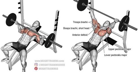 THE BEST EXERCICES FOR CHEST MUSCLE 1: LOW INCLINE BARBELL BENCH PRESS. This exercice touche ...