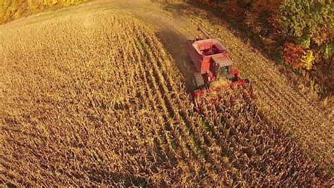 Aerial Footage Of Corn Field Harvest On A Late Fall Evening In Illinois Stock Footage Video ...