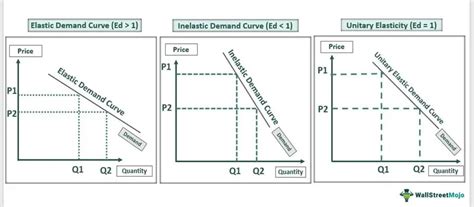 Elastic Demand - Definition, Formula, Curve, Examples, Types