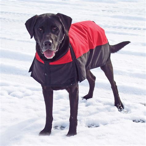 Dura-Tech® Insulated Waterproof Dog Coat in Dog Coats & Jackets at Schneider Saddlery