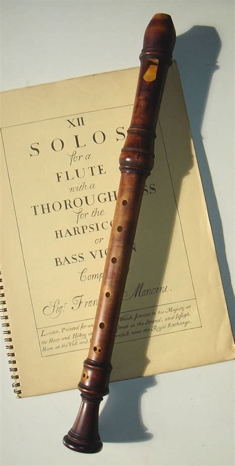 Recorder - Why Did We Learn To Play The Recorder In School How To Classical Wqxr - Try our free ...