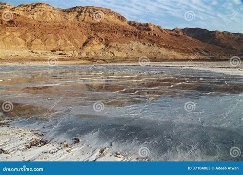 Dead Sea Salts stock image. Image of salty, area, landscape - 37104863