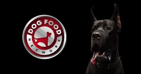 The Best Dog Food Brands For a Great Dane 2024 - Dog Food Network