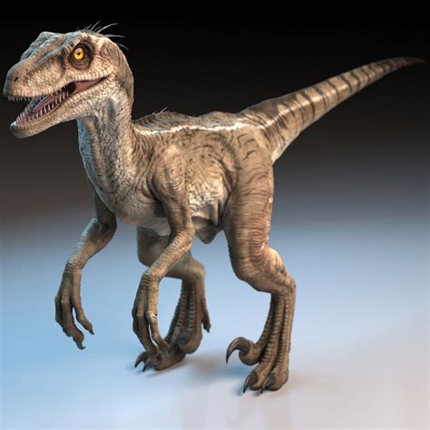 raptor dinosaur 3d model