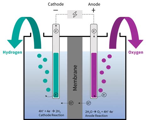 Water electrolysis explained – the basis for most Power-to-X processes - International PtX Hub ...