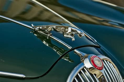 Jaguar Tattoo Ideas for Car Owners [VIDEO] » Way Blog » Things To Know