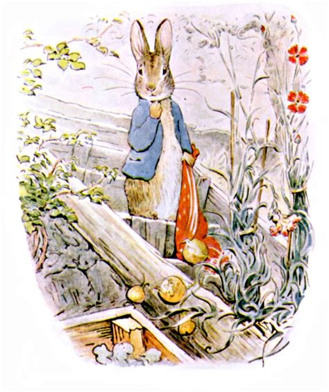 The Original Peter Rabbit Books eBook by Beatrix Potter - EPUB | Rakuten Kobo United States