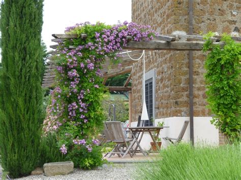 19 Best Pergola Plants | Climbing Plants for Pergolas and Arbors | Balcony Garden Web