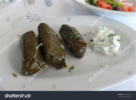 Greek Food Sarma Yogurt Dolmades Stock Photo 755824444 | Shutterstock