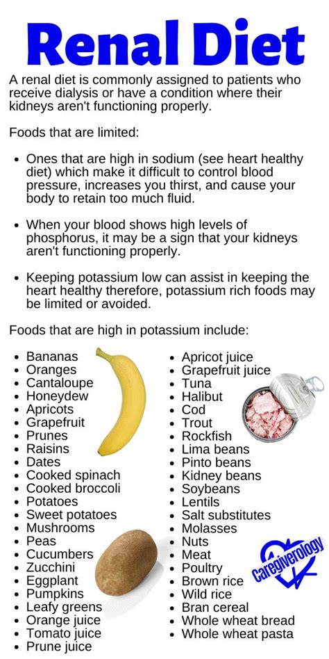 Stage 5 Kidney Failure Diet Recommendations