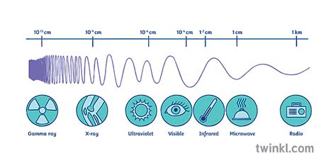 Electromagnetic Spectrum Waves Rays Gamma Ultraviolet Infrared Microwave