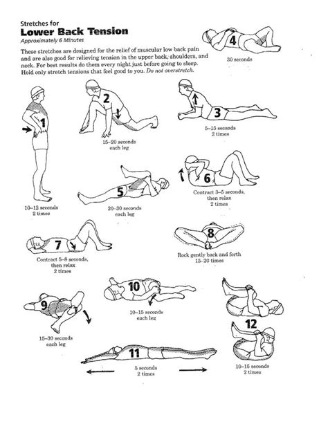 56 best images about Physical Therapy exercises for back on Pinterest | Physical therapy, Lower ...