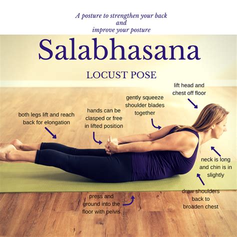 Fit and Fabulous: Salabhasana (Locust Pose) | Vinyasa yoga teacher training, Ashtanga vinyasa ...