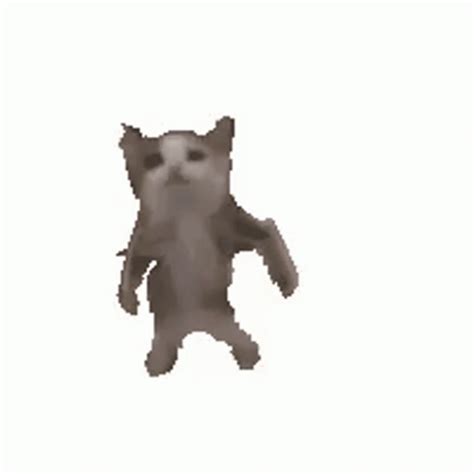 Cat Dancing Gangnam Style