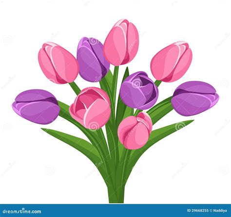 Bouquet of Pink and Purple Tulips. Vector. Stock Vector - Illustration of element, arrangement ...