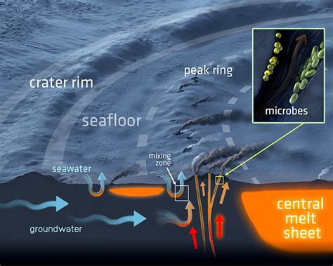 Ancient life signs under dinosaur-killing Chicxulub crater | Space | EarthSky