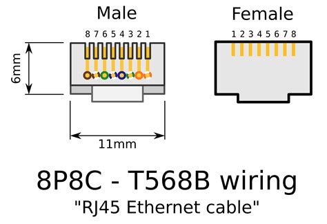 Rj45 Connector Wiring Diagram Cable Rj45 Wiring Network Computer Diagram Rj Chart Connectors ...