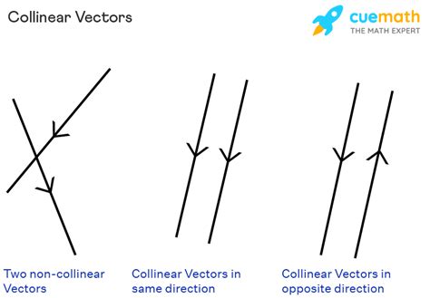 Collinear Vectors - Definitions, Conditions, Examples