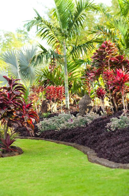 25+ Best Tropical Garden Design Ideas – Home and Gardens