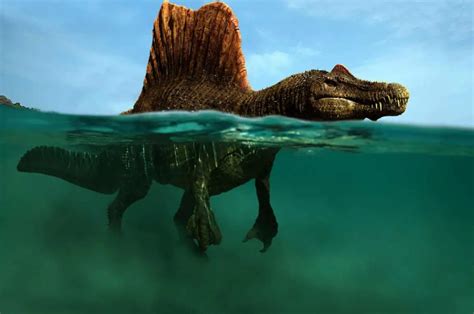 Fun Facts about Spinosaurus - World Amazing Facts