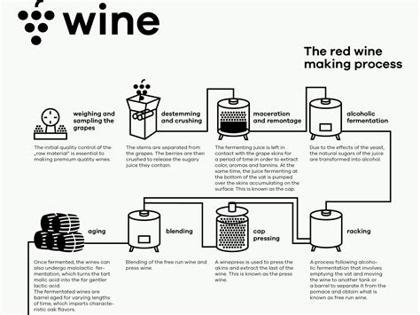 Wine Infographic, Infographics, Wine Making Process, Red Wine, Initials, Alcohol, Rubbing ...