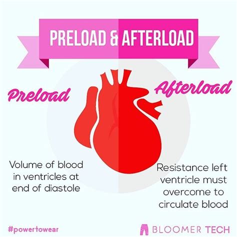 This is an example of preload and afterload #heart #hearthealth #fitness #body #design #infographic