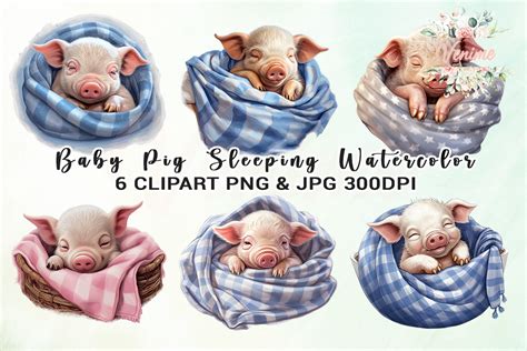 Baby Pig Sleeping Watercolor Clipart Graphic by Venime · Creative Fabrica