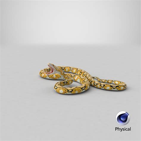 3D yellow python snake attack - TurboSquid 1412938