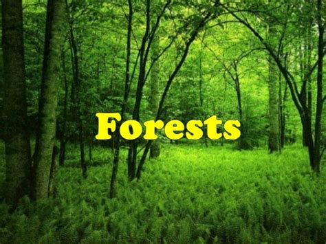 Forest Resources