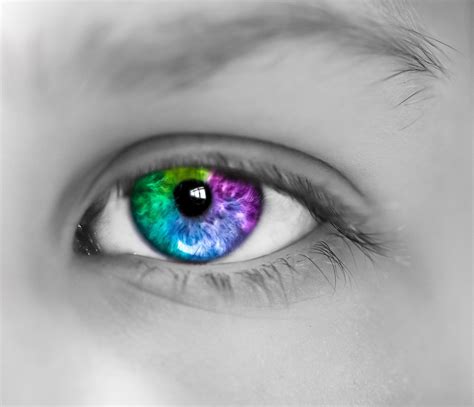 The Eye Color Chart - HubPages