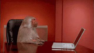 Monkey Computer GIF - Monkey Computer GIFs | Say more with Tenor