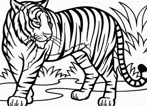 Cute Tigger For Kids Colour Drawing HD Wallpaper - colours drawing wallpaper