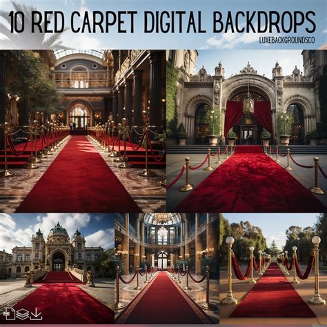 Hollywood Red Carpet Backdrop for Social Media, Graduation Backdrop, Celebration Photo Booth ...