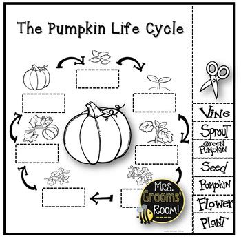 26 best ideas for coloring | Pumpkin Life Cycle Coloring Page