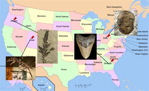 Us Map Of Dinosaur Fossils