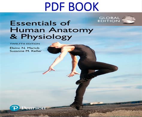 Anatomy And Physiology Textbook Pearson - Life Educations