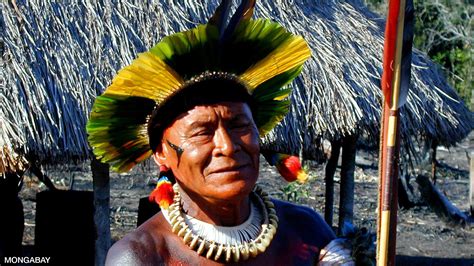 Rainforest Tribes In Brazil – Telegraph