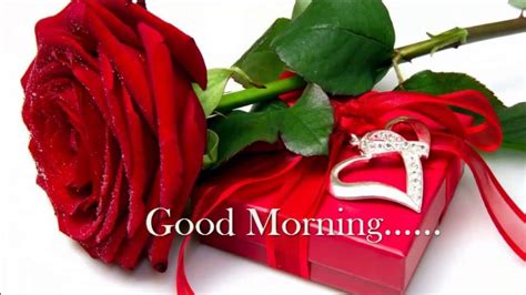 Good Morning Rose Wallpapers - Wallpaper Cave