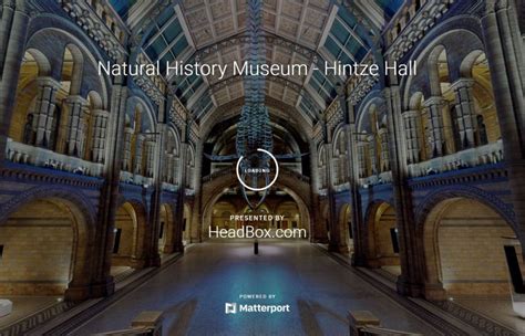 Online Travel: Natural History Museum, London Launches 3D Virtual Tour | Boomers Daily