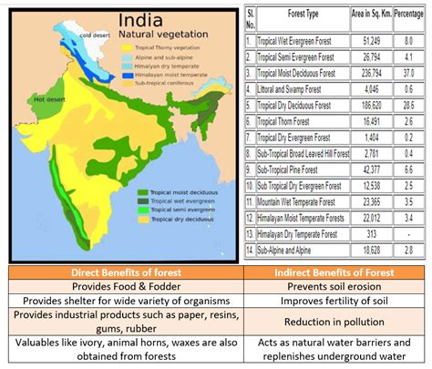 🏆 Benefits of forest resources. Benefits of forests. 2022-10-17