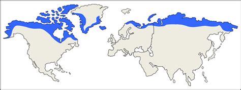 Map Of Arctic Tundra - Draw A Topographic Map