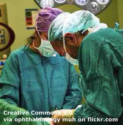 Pig-heart Transplant - ESL Lesson Plan - Breaking News English Lesson