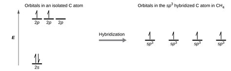 Hybrid Atomic Orbitals | Chemistry for Majors